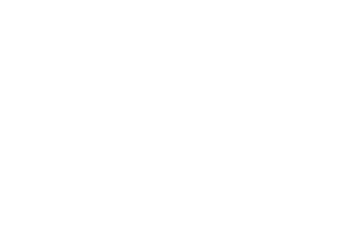 VISACONNECT